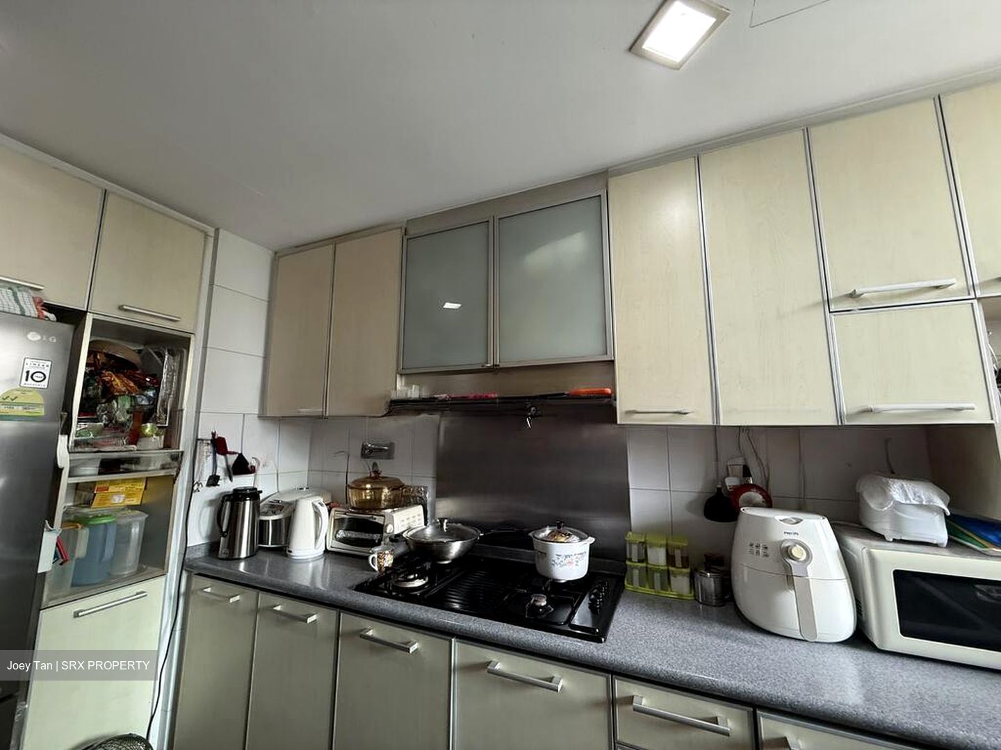 Park Green (D19), Condominium #496313021